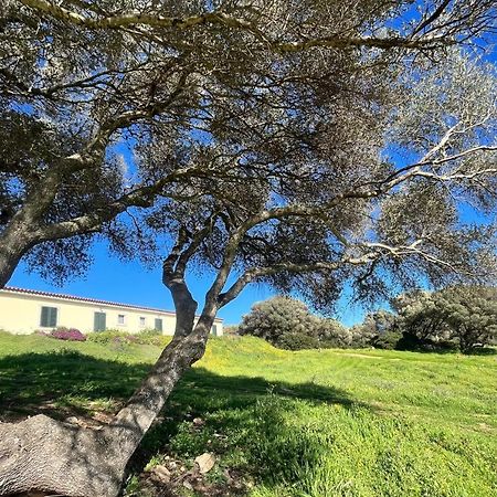 مبيت وإفطار سان باسكوالي La Striscia Larga المظهر الخارجي الصورة